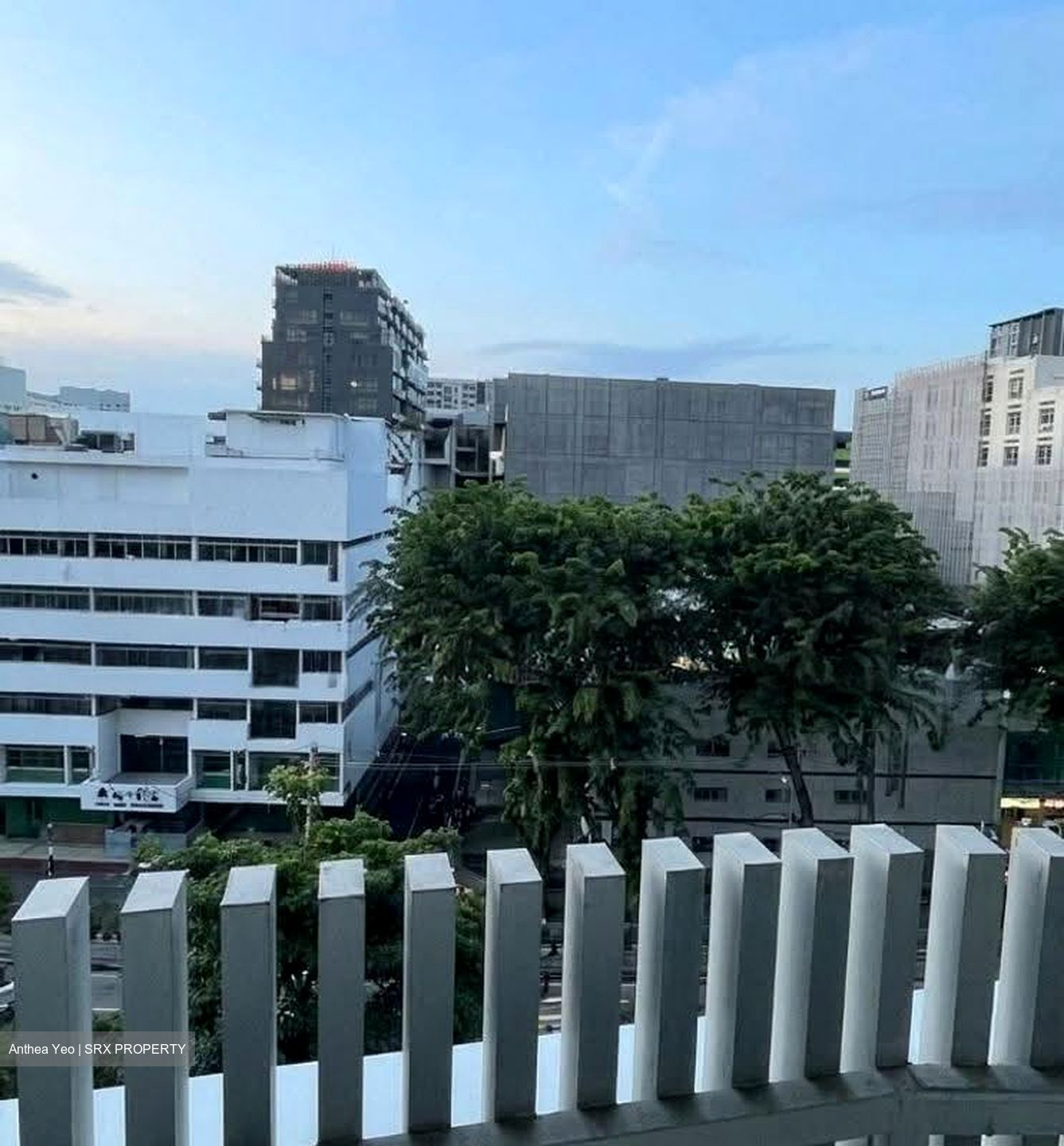 Sky Green (D13), Condominium #626906381
